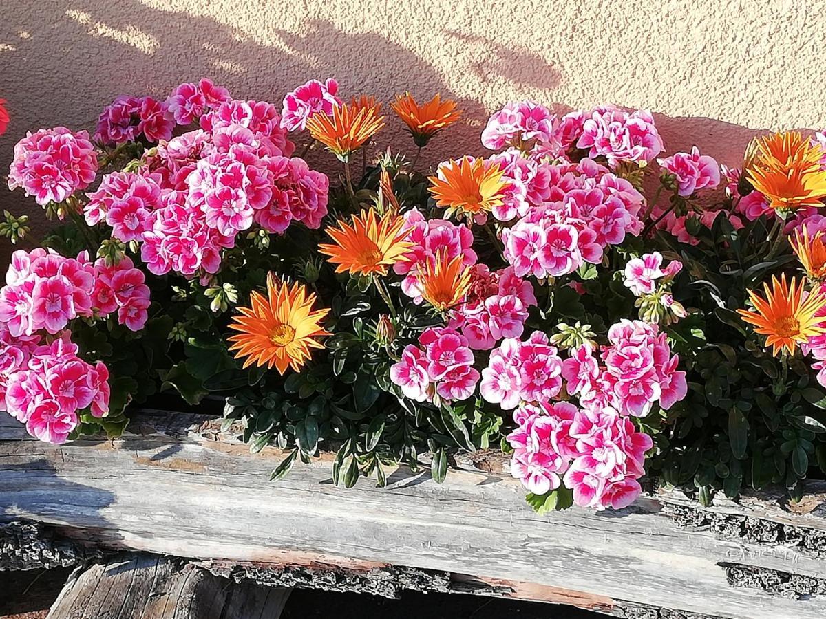 Ferienwohnung Angerlgut Sankt Koloman Buitenkant foto