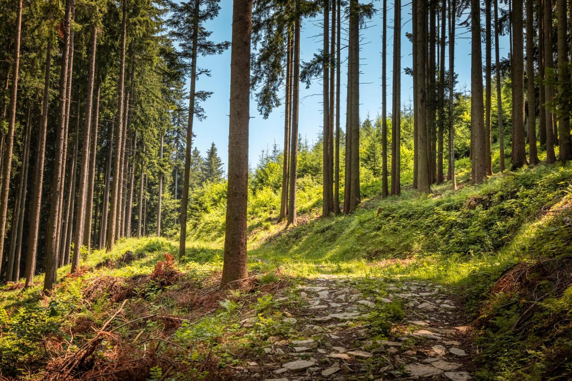 Ferienwohnung Angerlgut Sankt Koloman Buitenkant foto