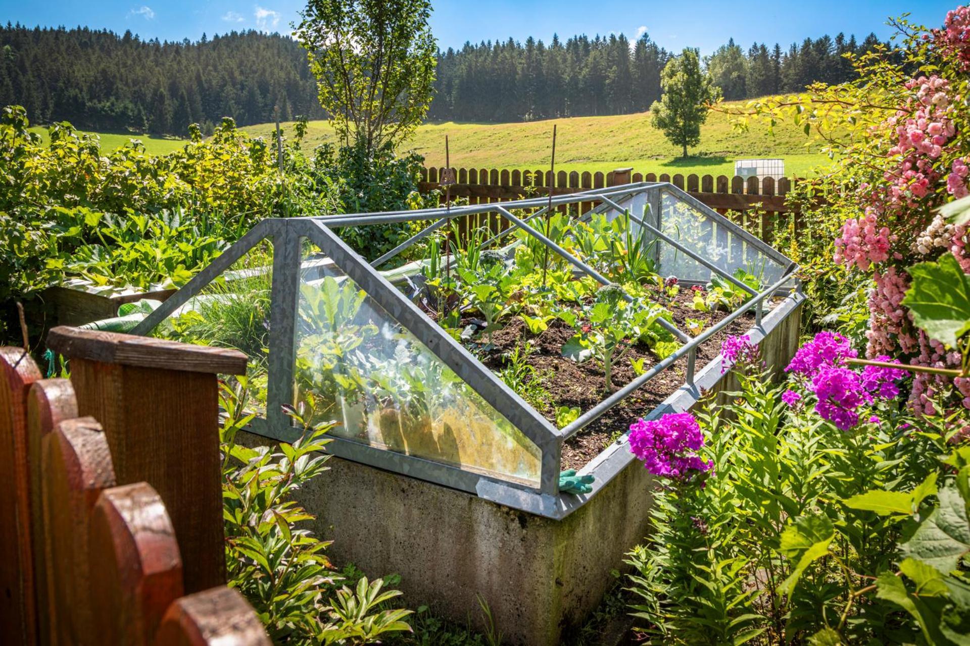 Ferienwohnung Angerlgut Sankt Koloman Buitenkant foto